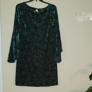 Beautiful new Dress by the Limited